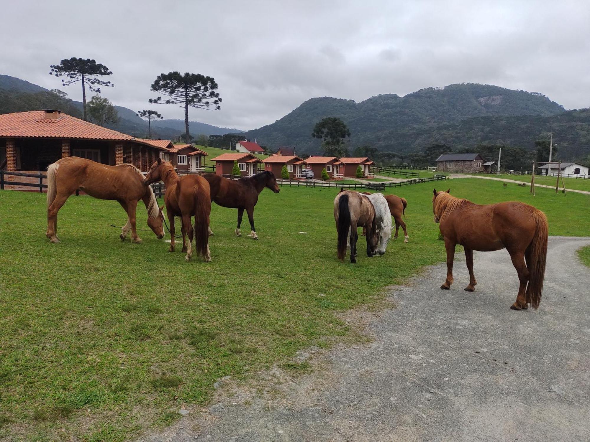 Sitio Rancho Crioulo Hotel Urubici Ngoại thất bức ảnh
