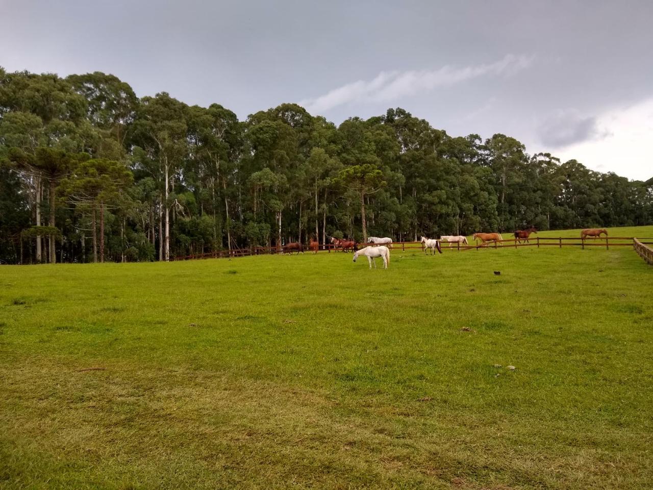 Sitio Rancho Crioulo Hotel Urubici Ngoại thất bức ảnh